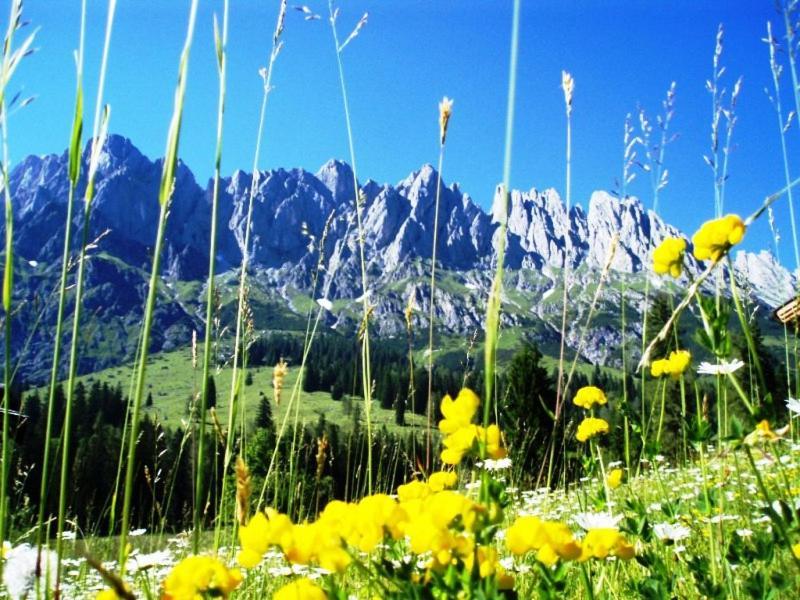 Gaestehaus Gschwandtner Muhlbach Am Hochkonig Bagian luar foto